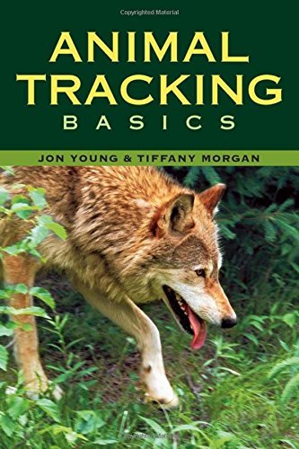 Tiffany Morgan/Animal Tracking Basics