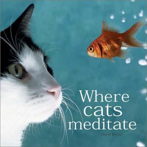 David Baird/Where Cats Meditate
