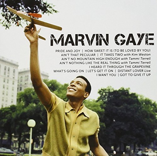 Marvin Gaye/Icon