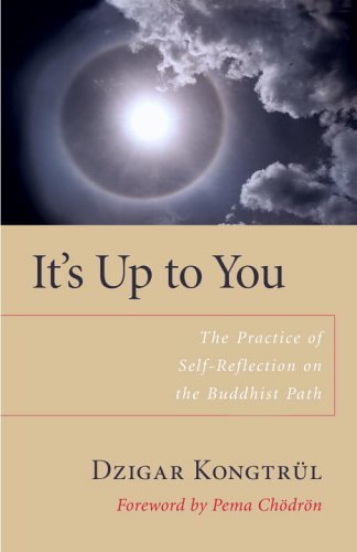 Dzigar Kongtrul It's Up To You The Practice Of Self Reflection On 