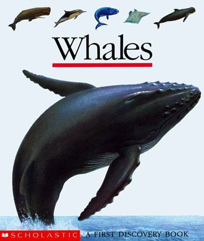 Scholastic Books/Whales