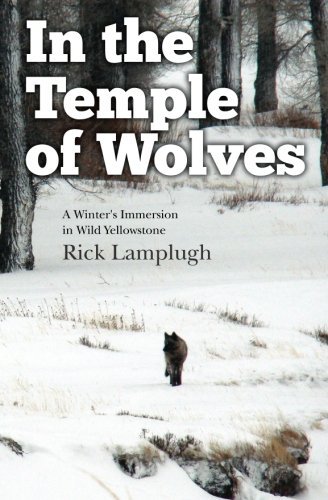 Rick Lamplugh In The Temple Of Wolves 