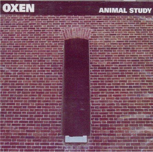 Oxen/Animal Study