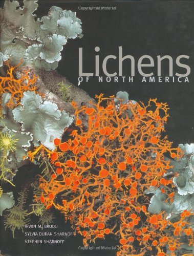 Irwin M. Brodo Lichens Of North America 