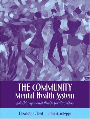 Elizabeth Lee Teed The Community Mental Health System A Navigational Guide For Providers 