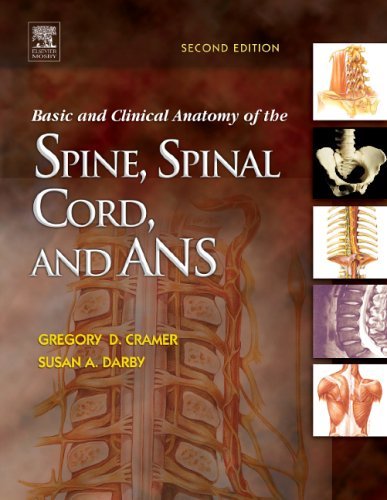 Gregory D. Cramer Basic And Clinical Anatomy Of The Spine Spinal Co 0002 Edition; 