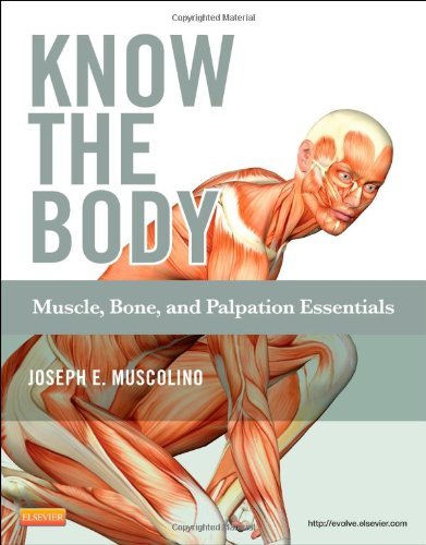 Joseph E. Muscolino Know The Body Muscle Bone And Palpation Essentials [with Cdro 