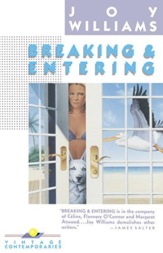 Joy Williams Breaking And Entering 