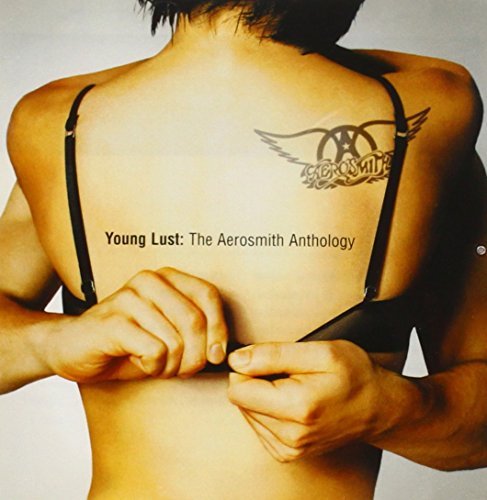 Aerosmith/Young Lust-Aerosmith Anthology@2 Cd Set