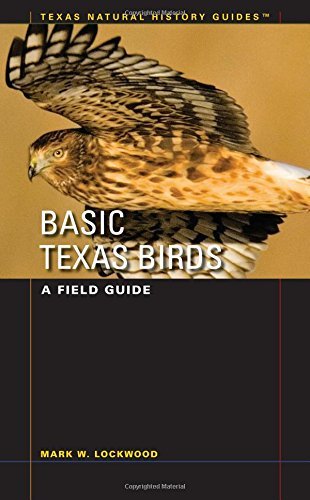 Mark W. Lockwood/Basic Texas Birds@ A Field Guide