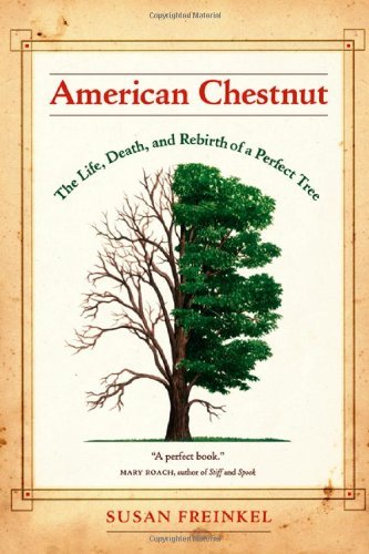 Susan Freinkel American Chestnut The Life Death And Rebirth Of A Perfect Tree 
