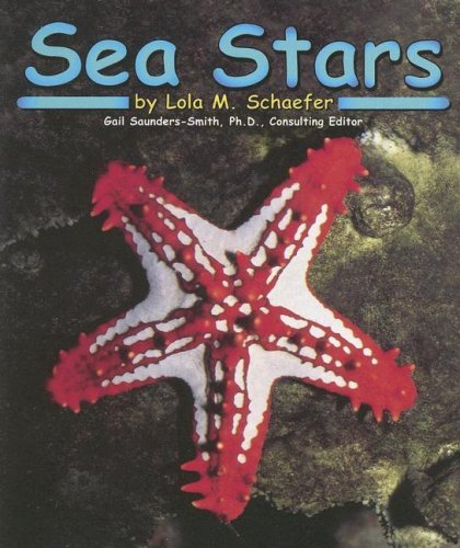 Lola M. Schaefer Sea Stars 