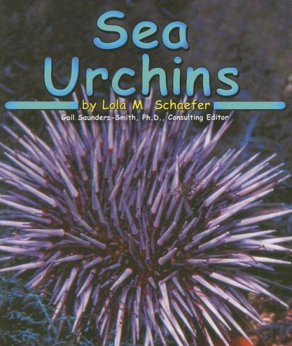Lola M. Schaefer Sea Urchins 