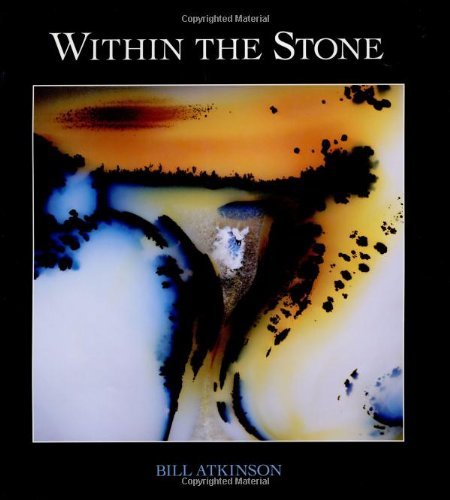 Diane Ackerman Within The Stone Nature's Abstract Rock Art 