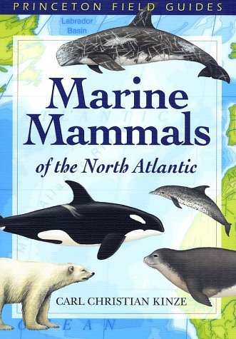 Carl Christian Kinze Marine Mammals Of The North Atlantic 
