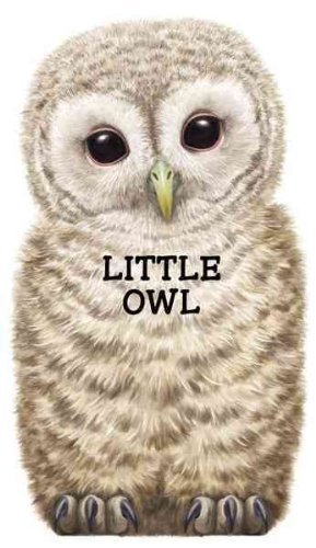 L. Rigo Little Owl 