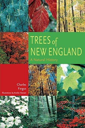 Charles Fergus Trees Of New England A Natural History 