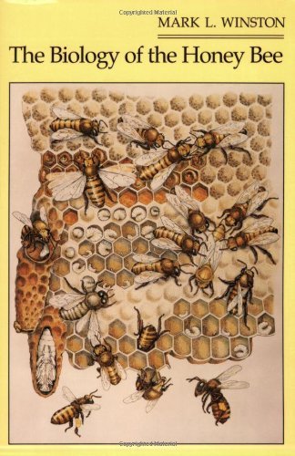 Mark L. Winston The Biology Of The Honey Bee Revised 