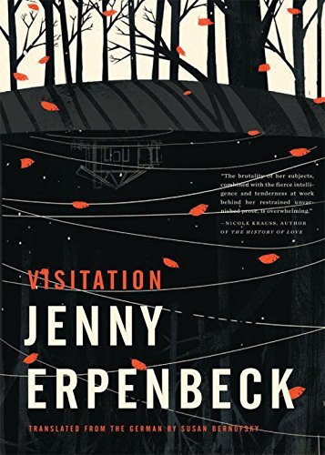 Jenny Erpenbeck Visitation 