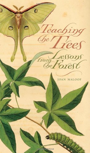 Joan Maloof Teaching The Trees Lessons From The Forest 