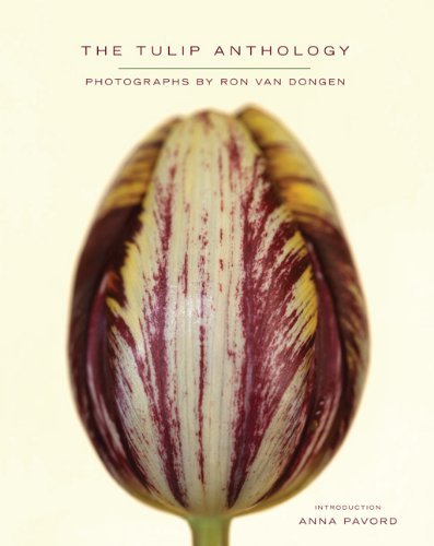 Billie Lythberg/Tulip Anthology,The