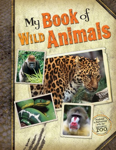 San Diego Zoo/My Book of Wild Animals