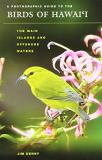 Jim Denny A Photographic Guide To The Birds Of Hawai'i The Main Islands And Offshore Waters 