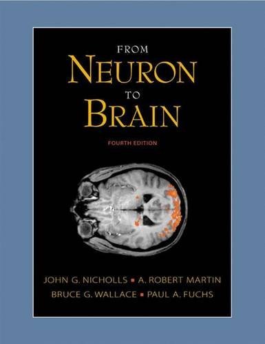 John G. Nicholls From Neuron To Brain 0 Edition; 
