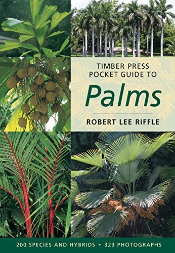 Robert Lee Riffle Timber Press Pocket Guide To Palms 