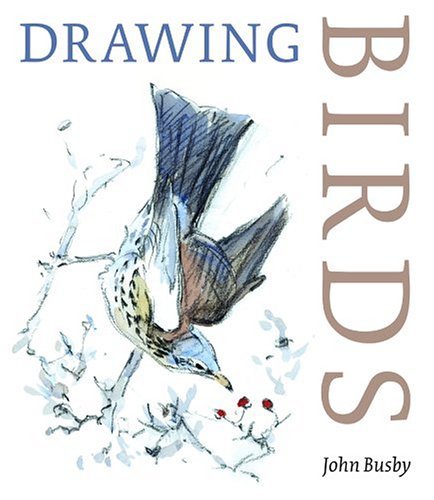 John Busby Drawing Birds 0 Edition; 