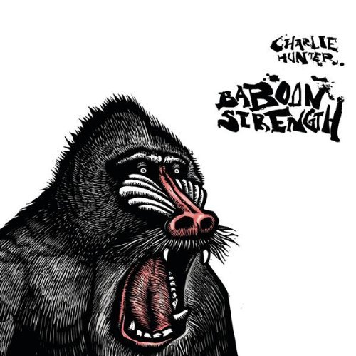 Charlie Hunter/Baboon Strength