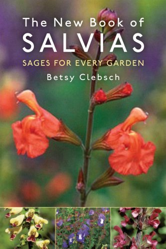 Betsy Clebsch New Book Of Salvias The Sages For Every Garden 0 Edition; 