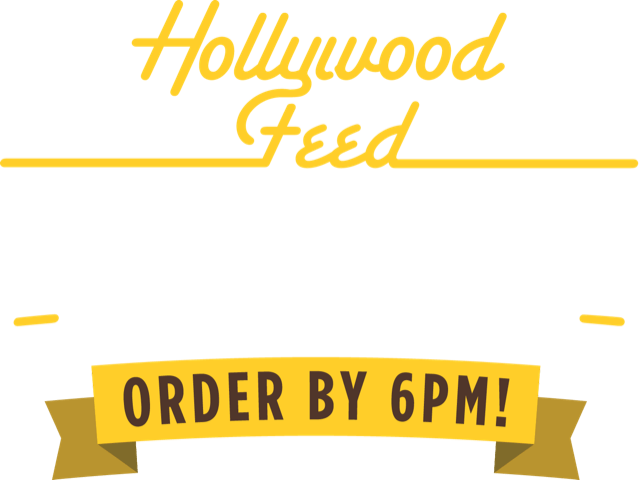 Same Day Delivery Logo