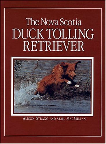 Alison Strang Nova Scotia Duck Tolling Retriever The 