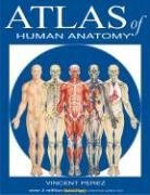 Vincent Perez Atlas Of Human Anatomy 