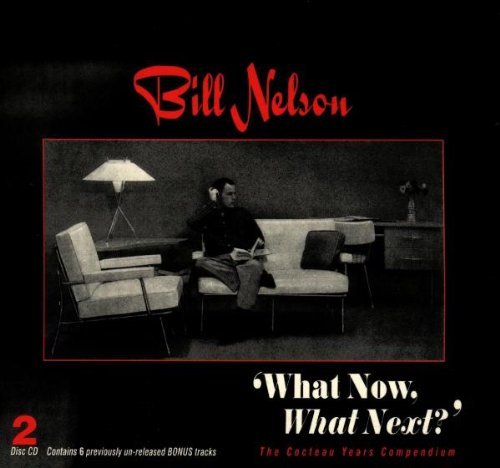 Bill Nelson/What Now? What Next?