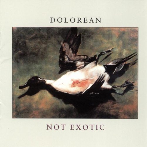 Dolorean/Not Exotic