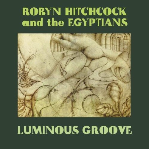 Robyn Hitchcock/Luminous Groove
