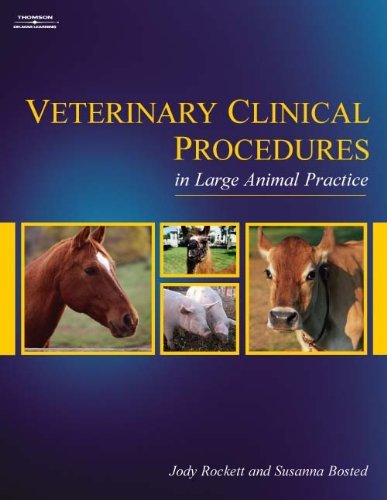 Jody Rockett Veterinary Clinical Procedures In Large Animal Pra 