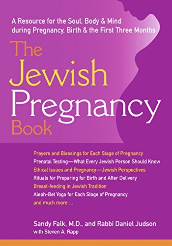 Sandy Falk/The Jewish Pregnancy Book@ A Resource for the Soul, Body & Mind During Pregn