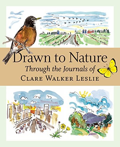 Clare Walker Leslie Drawn To Nature Through The Journals Of Clare Walker Leslie 