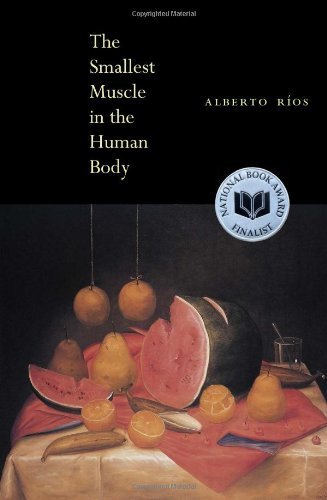 Alberto R?os/The Smallest Muscle in the Human Body