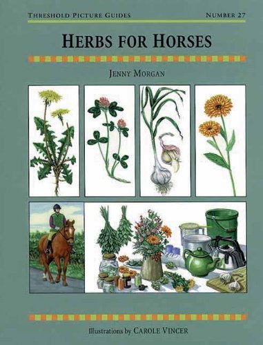 Jenny Morgan Herbs For Horses 