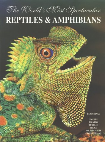 Bill Love The World's Most Spectacular Reptiles And Amphinas 