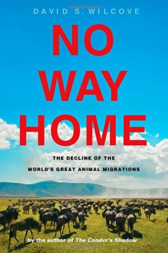 David S. Wilcove/No Way Home@ The Decline of the World's Great Animal Migration