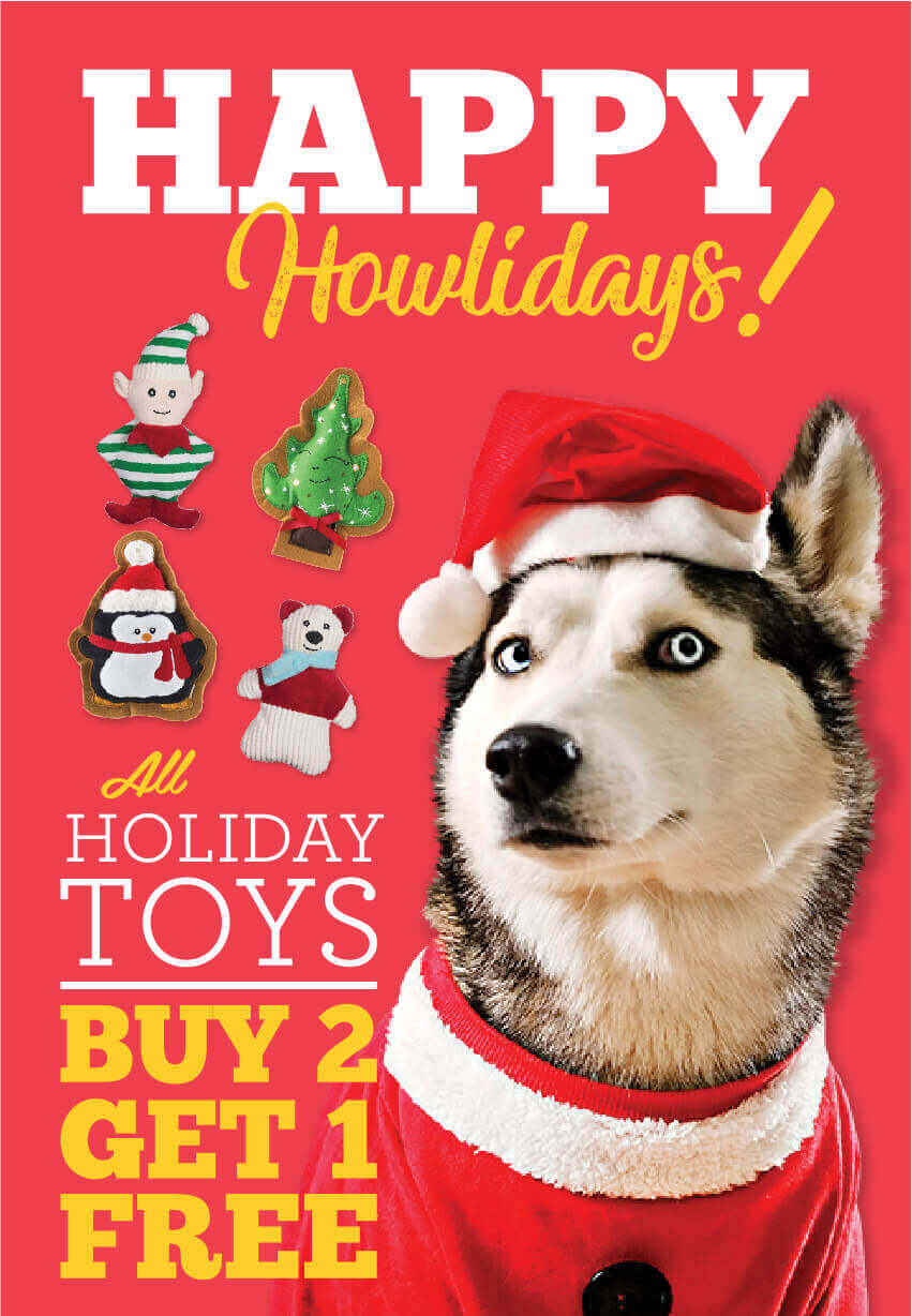 Current Specials Banner Holiday Toys Buy 2 Get 1 Free