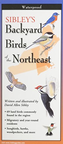 david Allen Sibley/Sibley's Backyard Birds Of New England & Northern