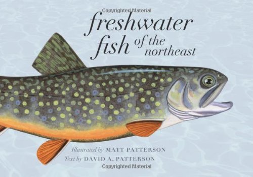 Matt Patterson Freshwater Fish Of The Northeast 