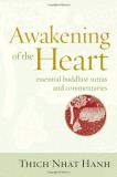 Thich Nhat Hanh Awakening Of The Heart Essential Buddhist Sutras And Commentaries 
