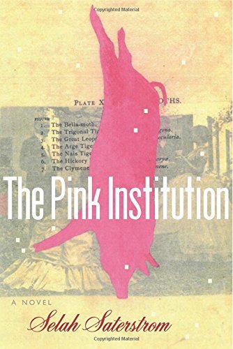 Selah Saterstrom/The Pink Institution